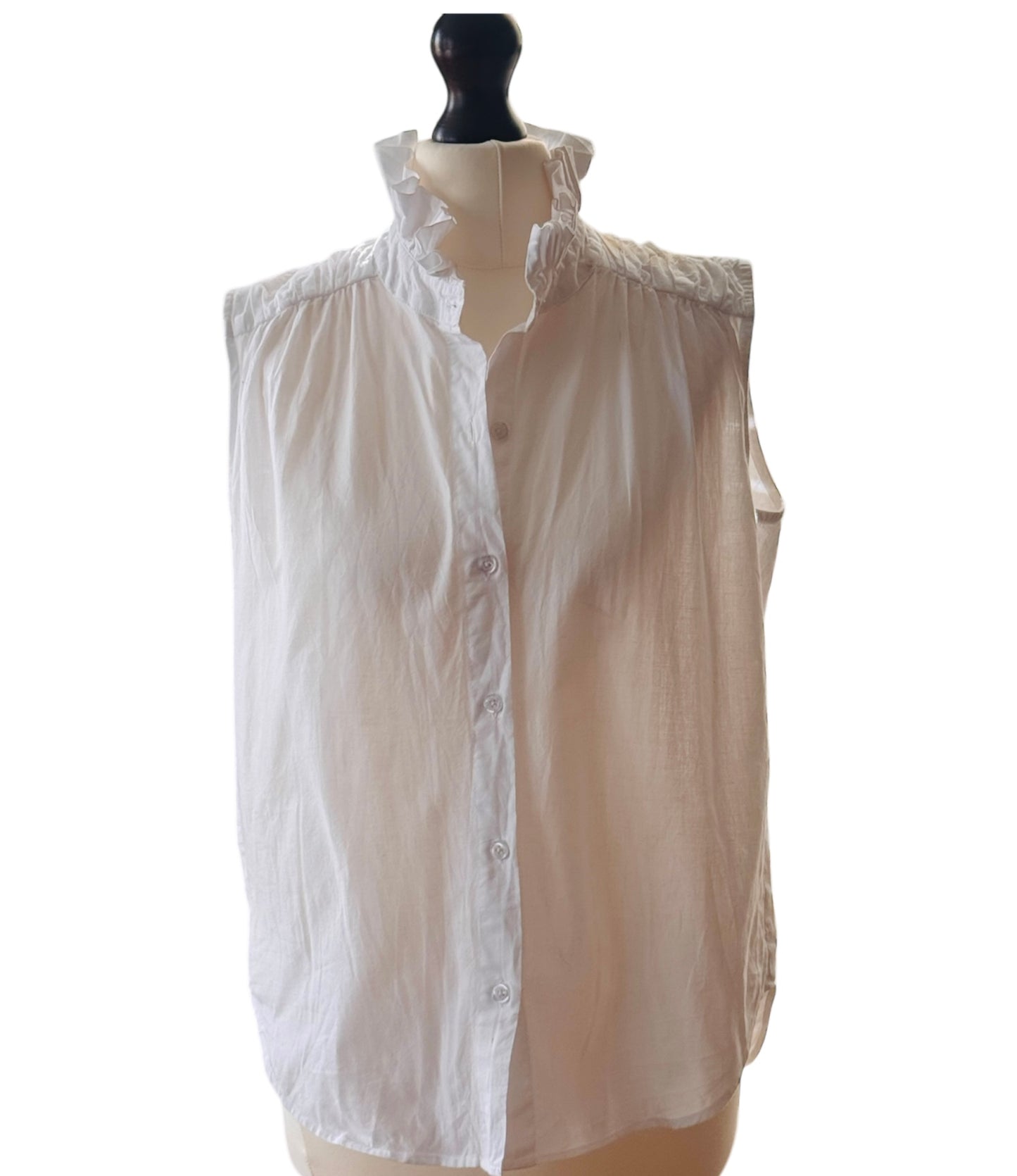Ruffle Collar Shirt